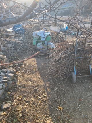 김용대님의 자유주제 · 자유게시판 작성글 사진