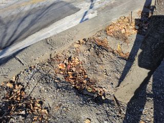 김용대님의 자유주제 · 자유게시판 작성글 사진