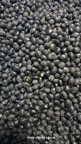 팜모닝 자유주제·자유게시판 게시글 이미지