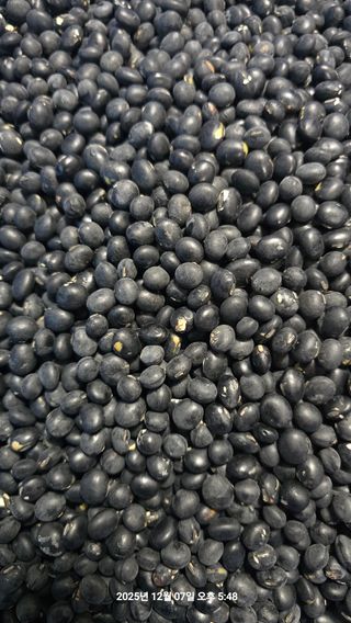 황규복(달구지)님의 자유주제·자유게시판 작성글 사진