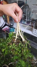 김선례님의 자유주제·자유게시판 작성글 사진