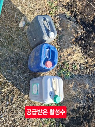 김중언님의 자유주제 · 자유게시판 작성글 사진