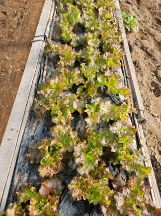 종일님의 자유주제 · 자유게시판 작성글 사진