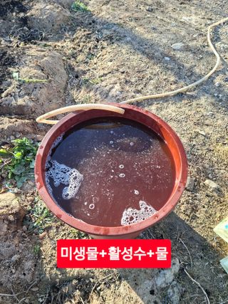 김중언님의 자유주제 · 자유게시판 작성글 사진