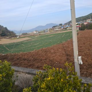 오영도님의 자유주제 · 자유게시판 작성글 사진