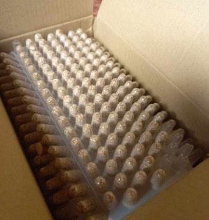 파머스케어님의 자유주제 · 자유게시판 작성글 사진