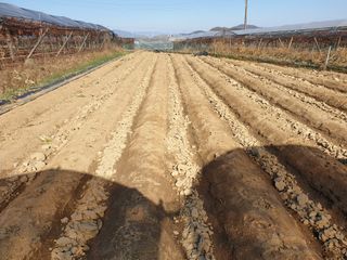 신득경님의 자유주제 · 자유게시판 작성글 사진