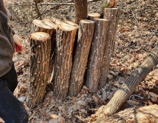 신탄진농약비료마트님의 자유주제 · 자유게시판 작성글 사진