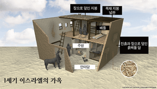달맛햇복숭아농원님의 자유주제 · 자유게시판 작성글 사진