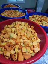 포도10314님의 자유주제·자유게시판 작성글 사진