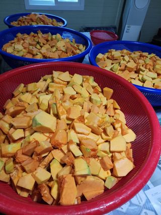 포도10314님의 자유주제 · 자유게시판 작성글 사진