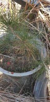 팜모닝 · 게시글 이미지