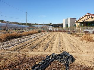 신득경님의 자유주제·자유게시판 작성글 사진