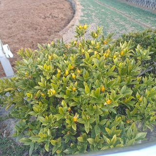 오영도님의 자유주제 · 자유게시판 작성글 사진