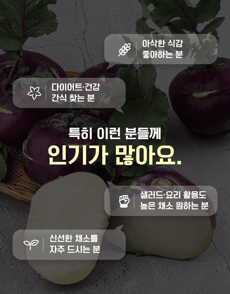 과일팩토리님의 장터 판매 상품 [[과일팩토리] 신선한 국내산 콜라비 선별과 산지직송 2kg/3kg/5kg/10kg] 첨부 사진