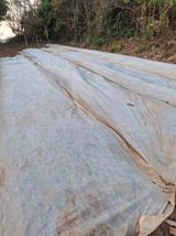 팜모닝 · 게시글 이미지