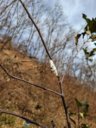 박정미님의 자유주제 · 자유게시판 작성글 사진