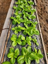 종일님의 자유주제·자유게시판 작성글 사진