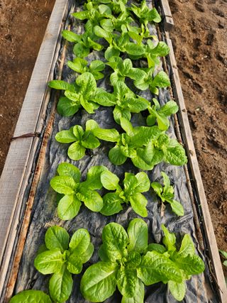 종일님의 자유주제 · 자유게시판 작성글 사진