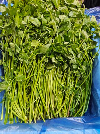 종일님의 자유주제 · 자유게시판 작성글 사진