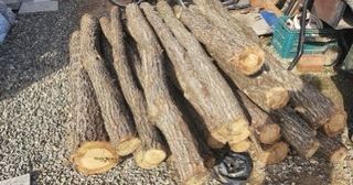 신탄진농약비료마트님의 자유주제 · 자유게시판 작성글 사진