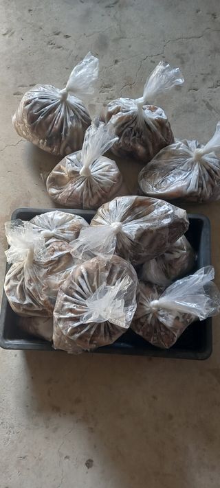 이영환님의 기타작물 · 자유게시판 작성글 사진