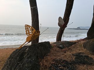 최대균님의 자유주제 · 사진전 작성글 사진