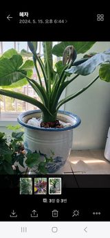 콩19996ㆍ혜자님의 자유주제·자유게시판 작성글 사진