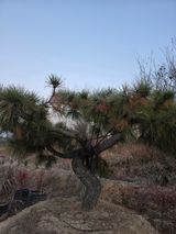 팜모닝 자유주제·사진전 게시글 이미지