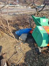 팜모닝 자유주제·자유게시판 게시글 이미지