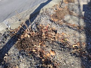 김용대님의 자유주제 · 자유게시판 작성글 사진