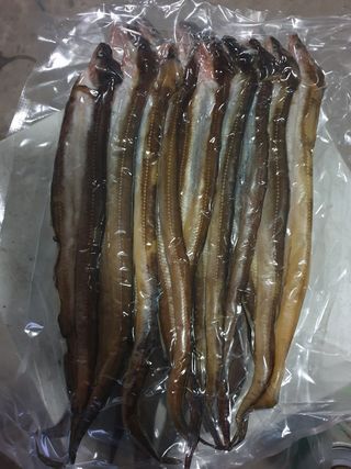 이영환님의 기타작물 · 자유게시판 작성글 사진