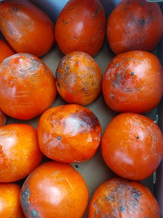 조봉래님의 작성글 사진