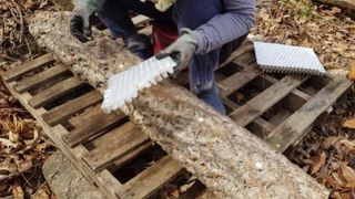 파머스케어님의 자유주제 · 자유게시판 작성글 사진