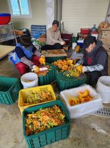 포도10314님의 자유주제·자유게시판 작성글 사진