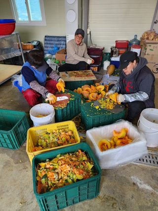 포도10314님의 자유주제 · 자유게시판 작성글 사진