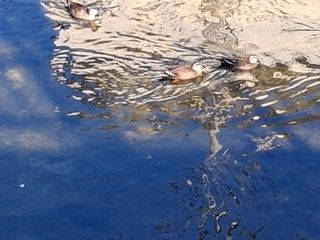 MSG0074님의 자유주제 · 자유게시판 작성글 사진