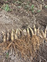 황덕순 님의 자유주제·자유게시판 작성글 사진