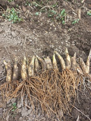 황덕순 님의 자유주제 · 자유게시판 작성글 사진