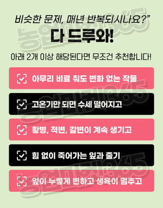 농업마켓365님의 작성글 사진