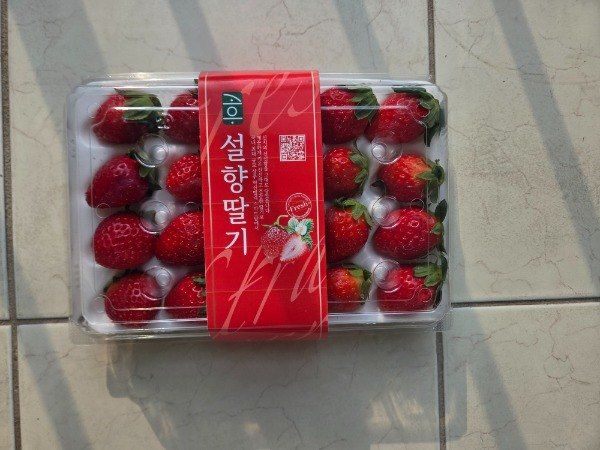 윤승희님의 장터 판매 상품 [고당도 프리미엄 설향 딸기 800g] 첨부 사진