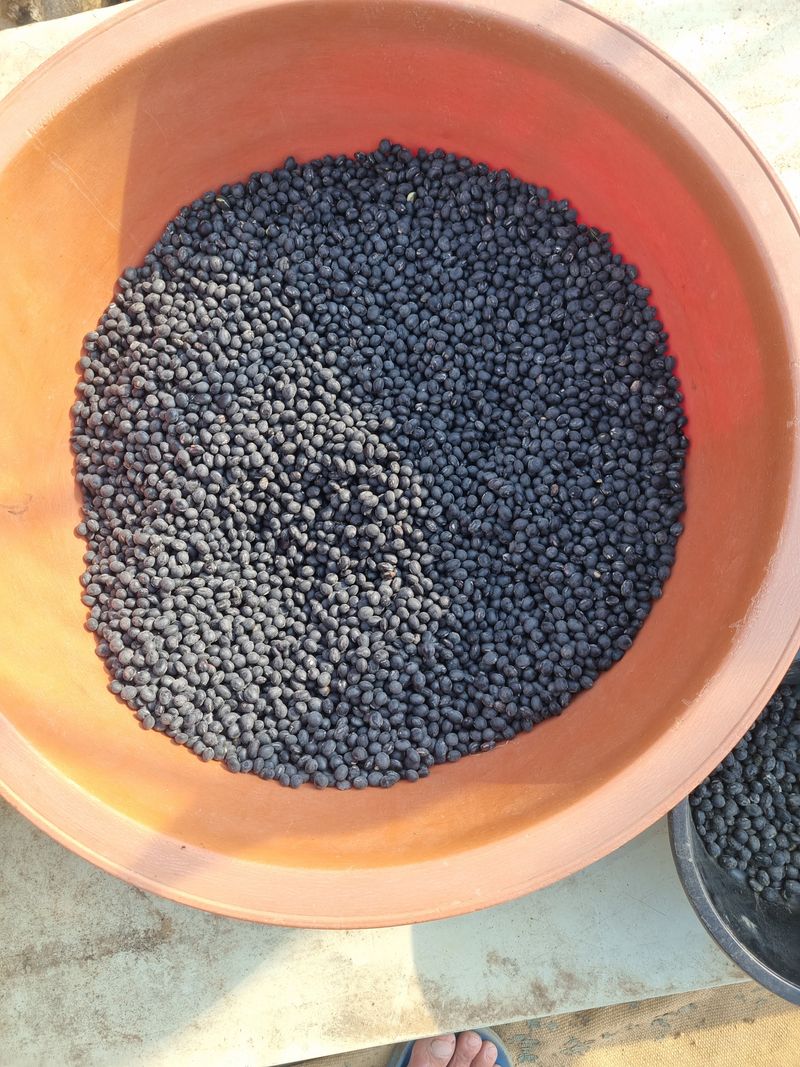 장터 상품 [서리태 ] 썸네일