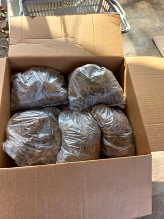 황덕순 님의 자유주제 · 자유게시판 작성글 사진