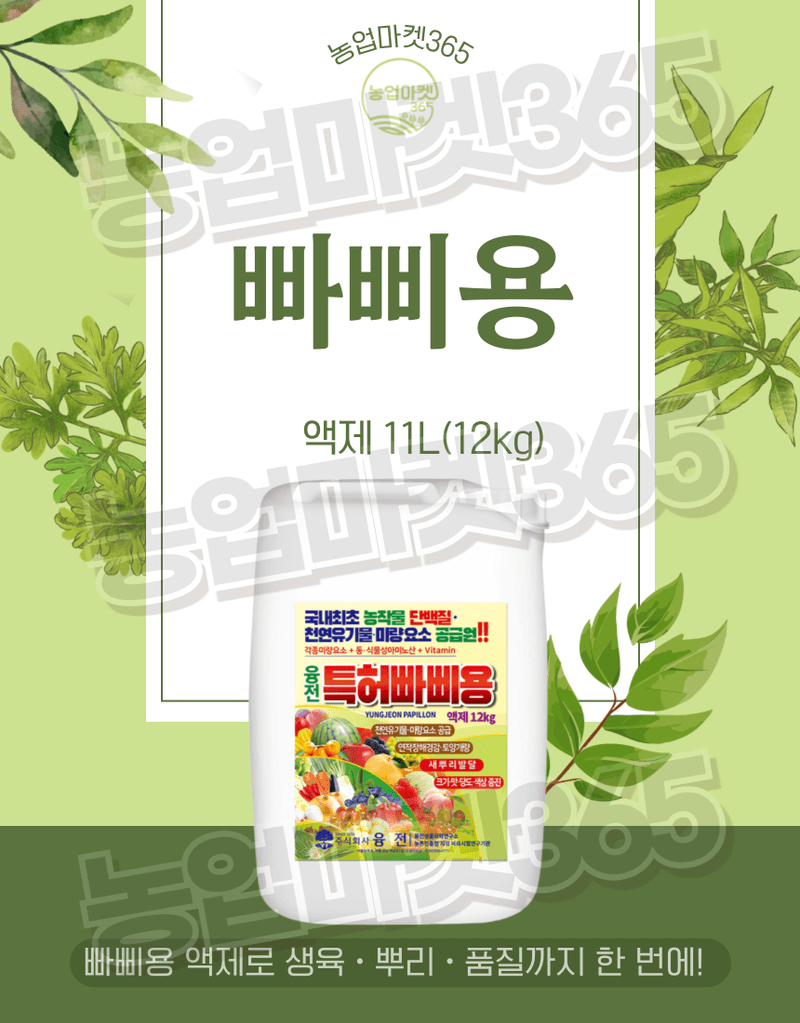 농업마켓365님의 장터 판매 상품 [융전 빠삐용 액제 11L(12kg) 2통 고함량 단백질 아미노산 영양제 새뿌리발달 생육촉진 맛·당도 향상] 첨부 사진