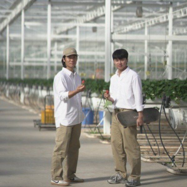 윤승희님의 장터 판매 상품 [고당도 프리미엄 설향 딸기 800g] 첨부 사진