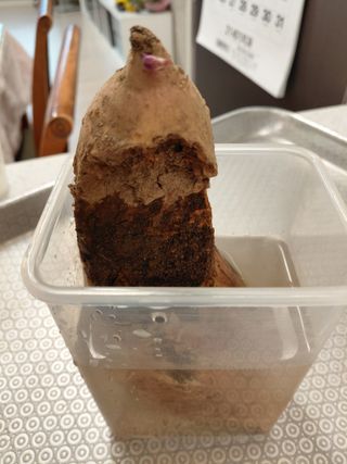 이박농장님의 자유주제 · 자유게시판 작성글 사진