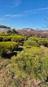 팜모닝 자유주제·자유게시판 게시글 이미지