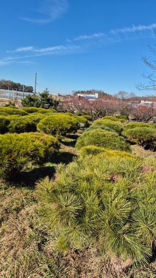 또배워님의 자유주제·자유게시판 작성글 사진