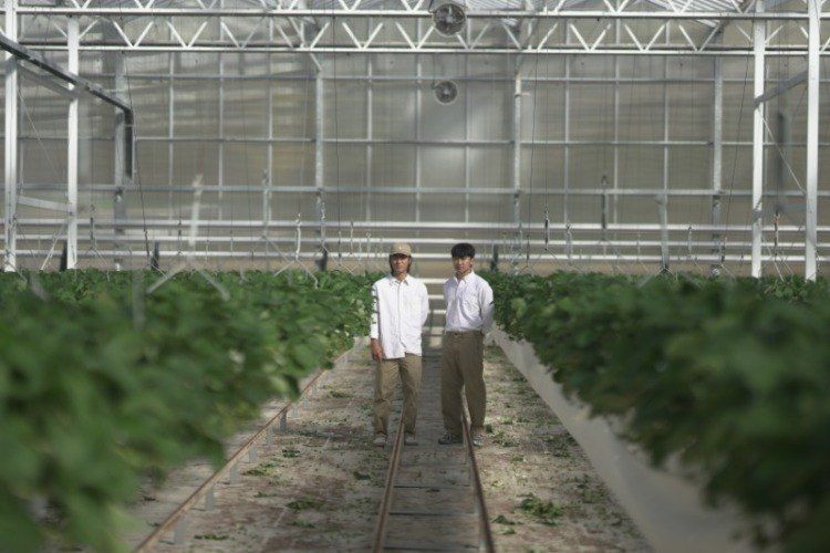 윤승희님의 장터 판매 상품 [고당도 프리미엄 설향 딸기 800g] 첨부 사진