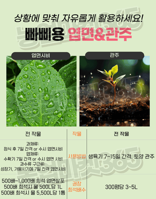 농업마켓365님의 작성글 사진